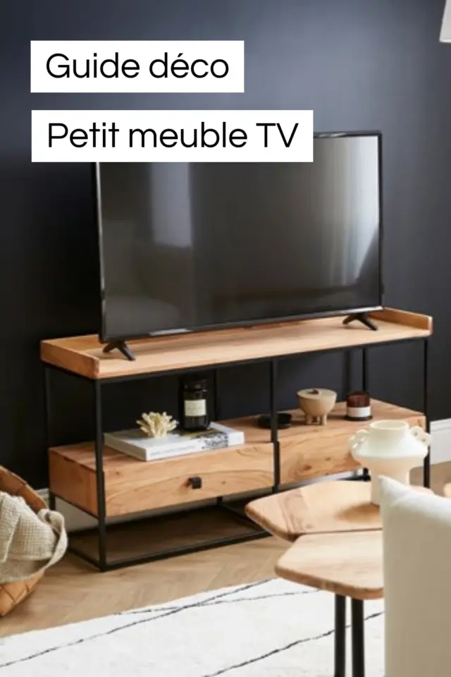 guide déco meuble salon bien choisir petit meuble TV 