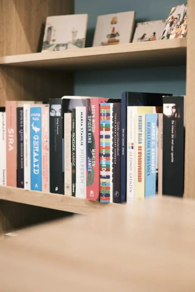 méthode pour désencombrer 7 besoins de Véronique Lebon livres bibliothèques plaisir et utilité 