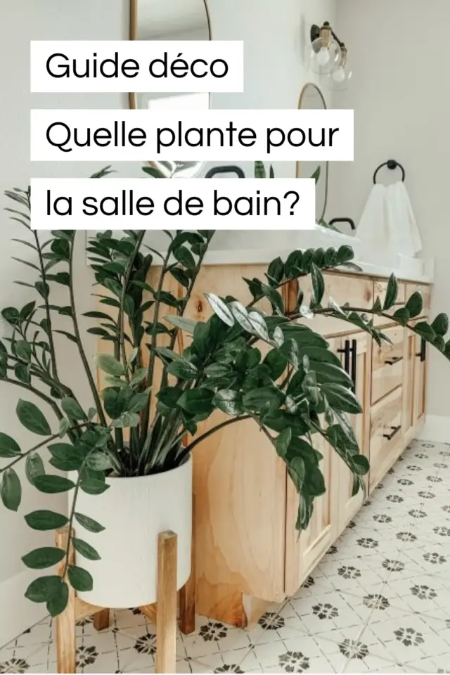 guide déco salle de bain plantes vertes conseils pour bien choisir 