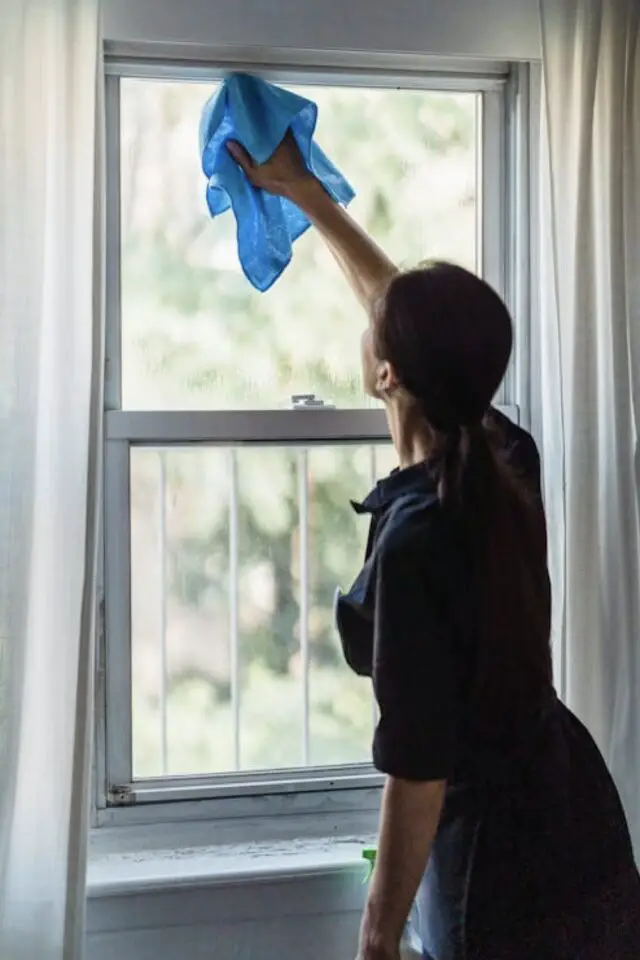 moisissure fenêtre solution cause nettoyage conseils pratique 