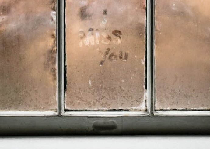 moisissures fenêtre cause solutions nettoyage conseils pratiques