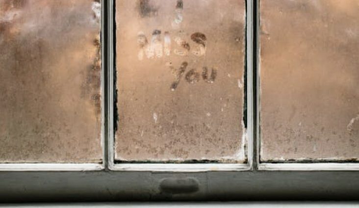 moisissures fenêtre cause solutions nettoyage conseils pratiques