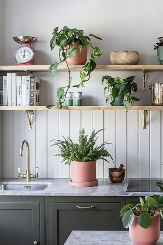 plante bien être hiver décoration intérieure cuisine étagère murale plan de travail 