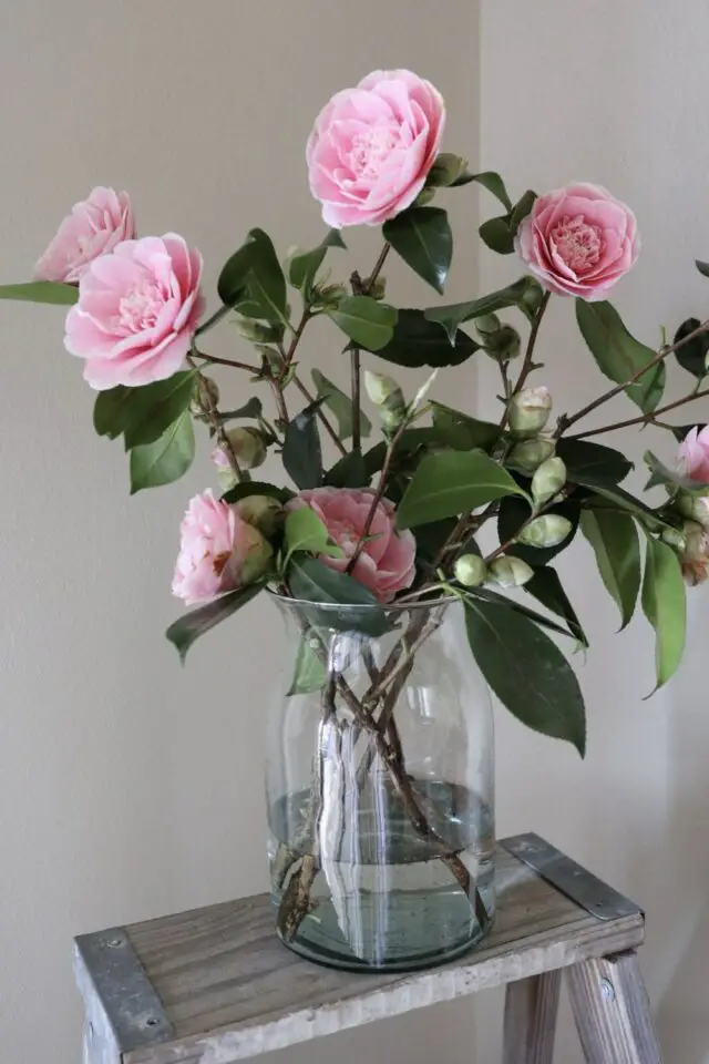 fleur de saison février Saint Valentin Camélia rose bouquet 