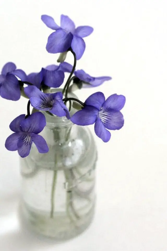 fleur de saison février Saint Valentin bouquet de violettes simple et mignon 