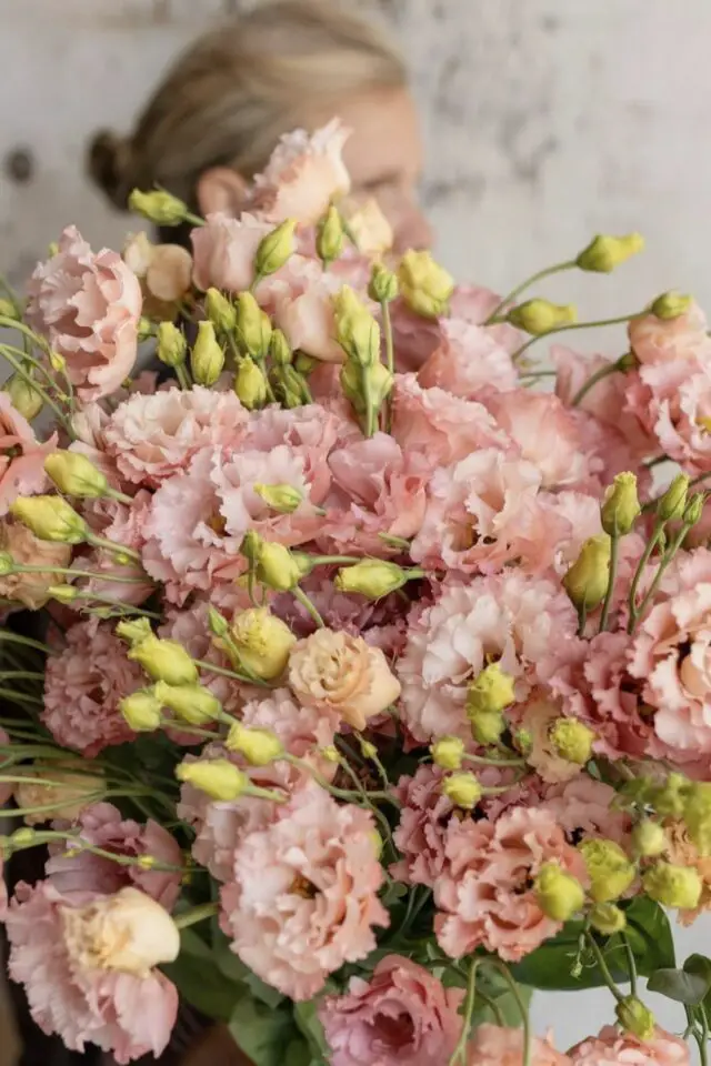 fleur février Saint Valentin bouquet Lisianthus effet rose ancienne beau cadeaux à offrir 