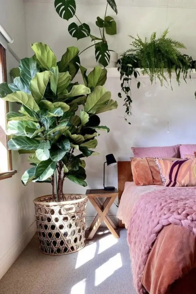décoration chambre parentale style urban jungle plante verte XXL en pot figuier étagère au dessus du lit linge rose et corail 