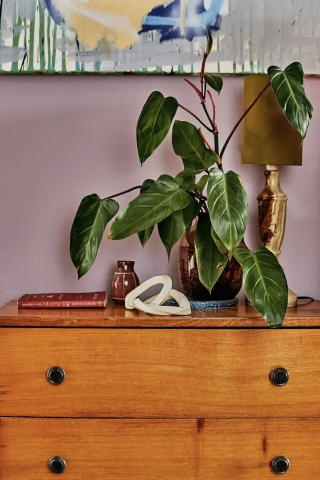 décoration chambre parentale style urban jungle petite plante posée sur une commode en bois mur peinture rose 