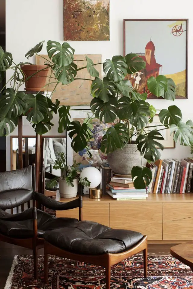 déco salon appartement chic et élégant meuble vintage en bois et cuir plantes vertes esprit Mid century Modern rangement livre mobilier bas déco salon appartement chic et élégant meuble vintage en bois et cuir plantes vertes esprit Mid century Modern rangement livre mobilier bas