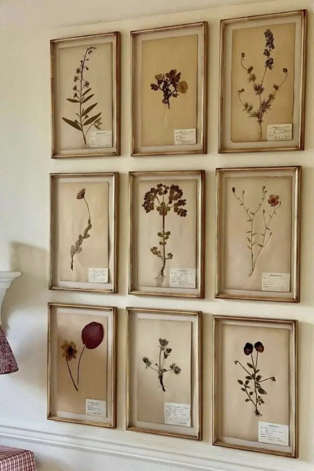 décoration intérieure fleur déco mur herbier fleur séchée