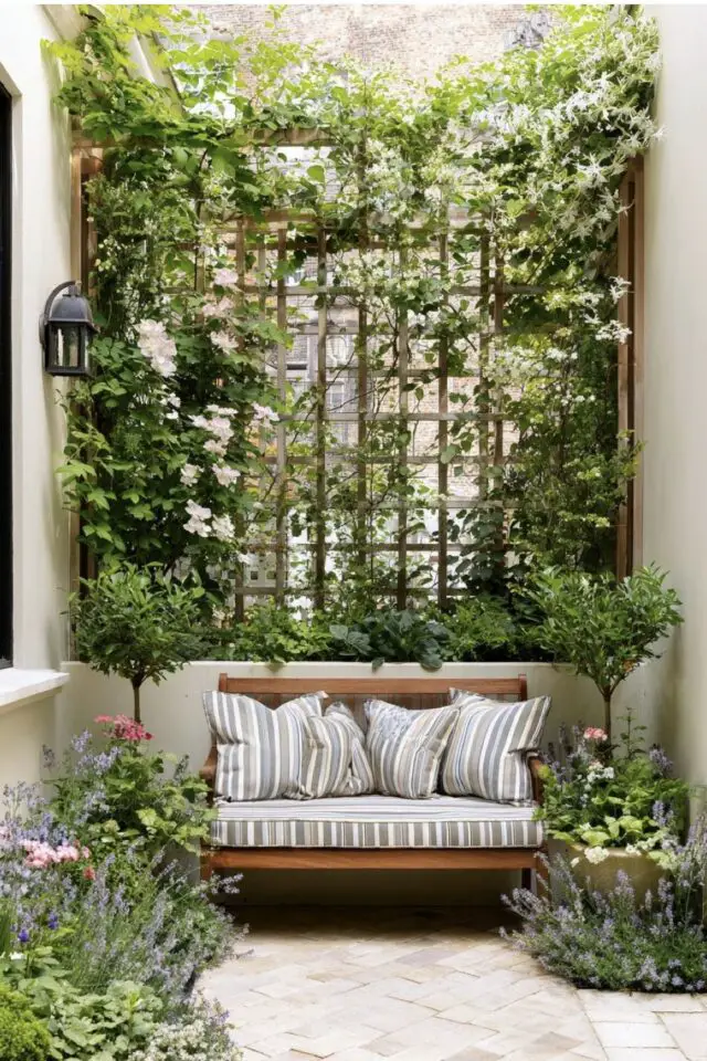 mur terrasse treillis bois plantes grimpantes petit patio arrière-cours végétale banc en bois mur terrasse treillis bois plantes grimpantes petit patio arrière-cours végétale banc en bois
