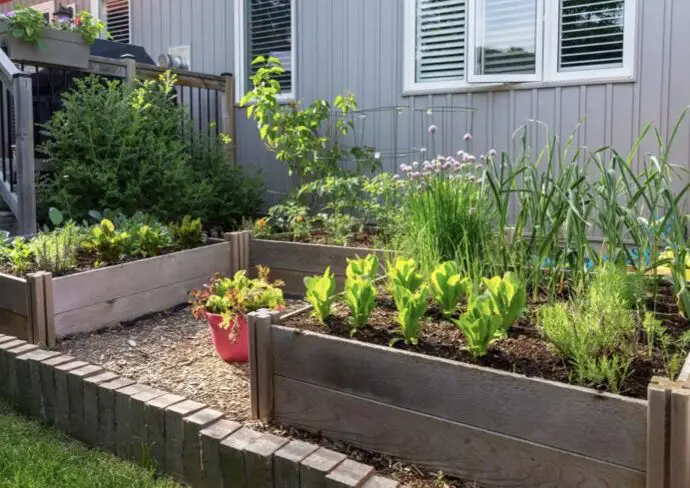 petit potager 12 idées à copier pour gagner de la place