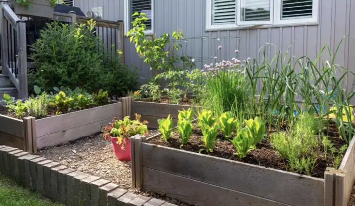 petit potager 12 idées à copier pour gagner de la place