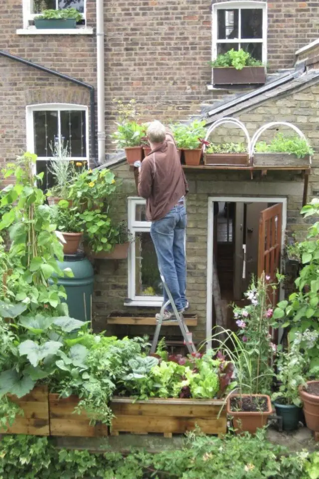 petit potager jardin maison de ville idée originale en hauteur étagère jardinière façade bac en bois 
