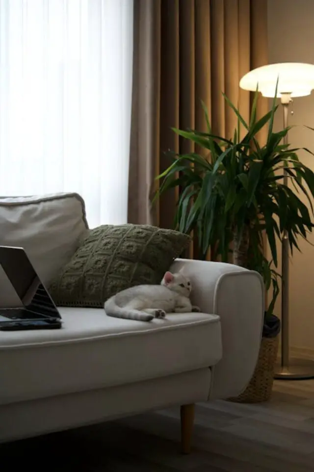 pose voilages et doubles rideaux décoration décoration salon moderne 