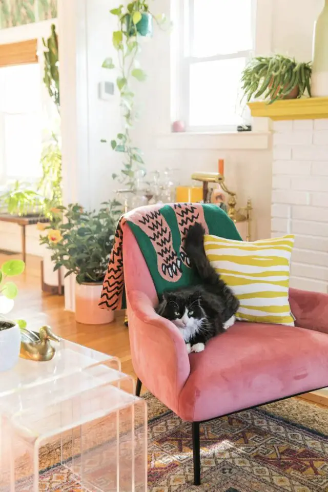 inspiration déco de salon mur blanc fauteuil rose en velours plantes vertes 