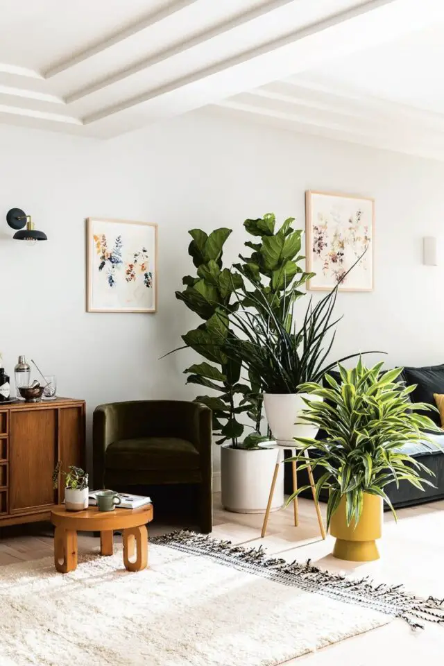 décoration style urban jungle dans le salon séjour pièce ouverte utiliser des plantes pour séparer les espaces 