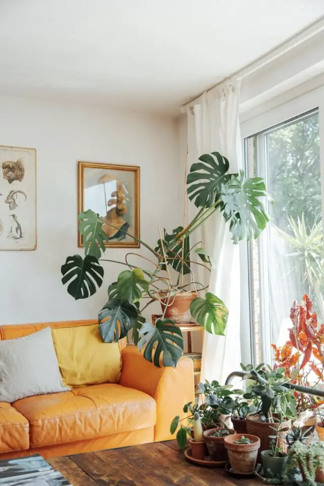 ambiance déco moderne salon plantes vertes Monstera posée sur un guéridon à côté d'un canapé en cuir naturel 