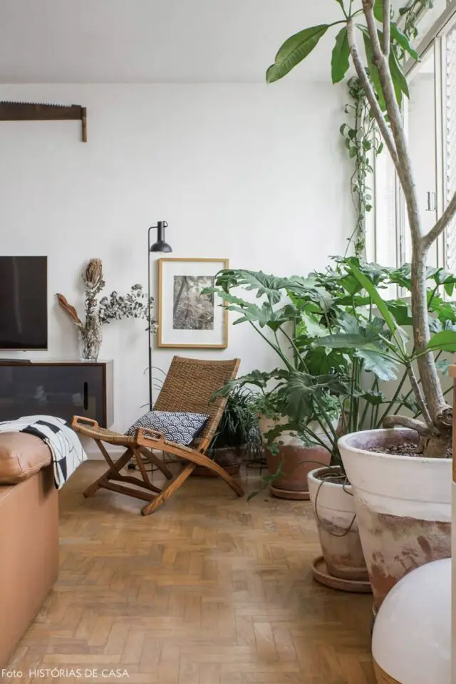 passion plantes vertes idée déco salon séjour style urban jungle mur blanc meuble bois et cuir 