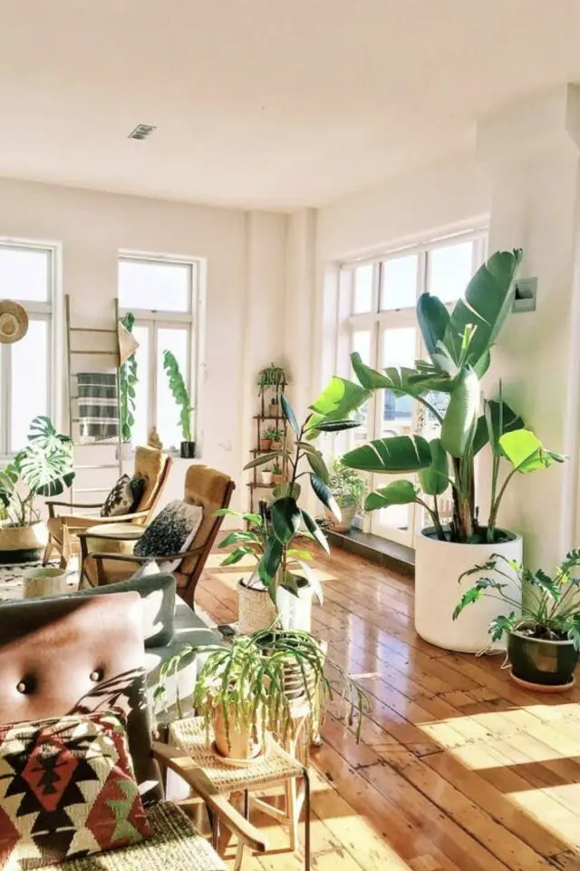 décoration salon d'appartement blanc parquet au sol plantes vertes tropicales idée style urban jungle 