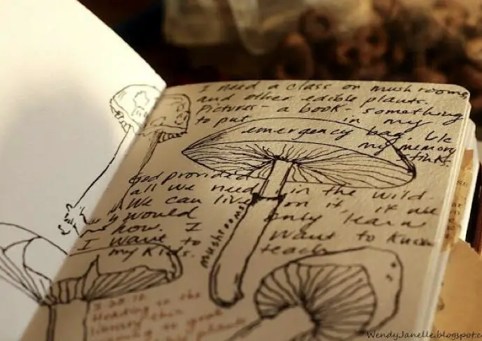 exemple journal nature activité loisir créatif adulte printemps