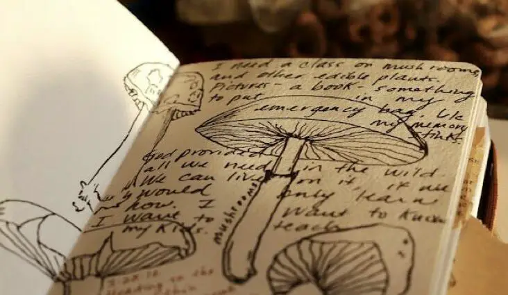 exemple journal nature activité loisir créatif adulte printemps