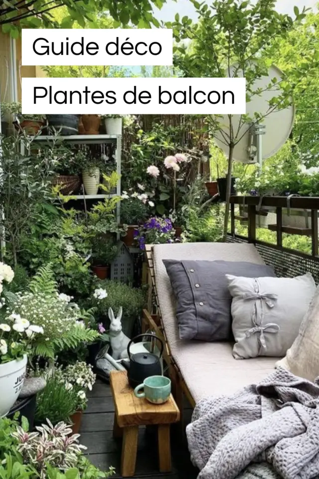 Liste de plantes variétés idéales petits espaces Guide déco petite terrasse et balcon 