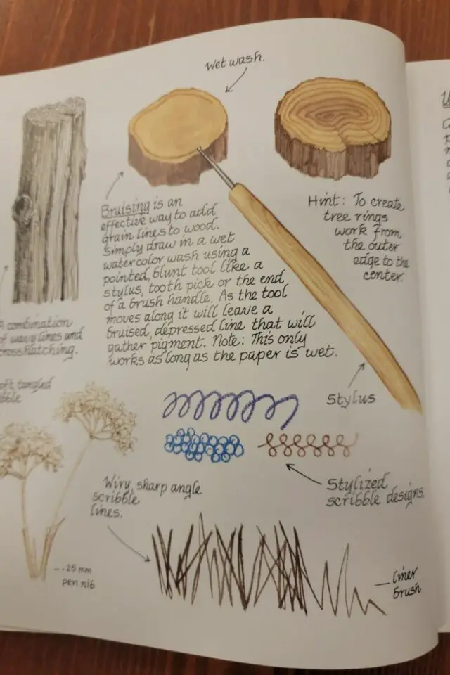 journal nature exemple croquis dessin et notes idée à copier activité slow pour adulte 