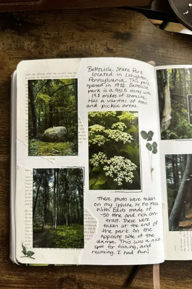 journal nature exemple collage photos avec quelques notes souvenirs du jardin 