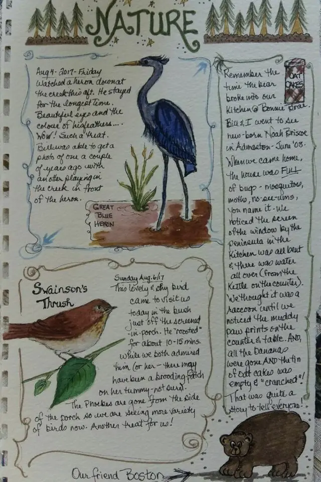 journal nature idée observation oiseau notes exemple à copier activité adulte slow living 