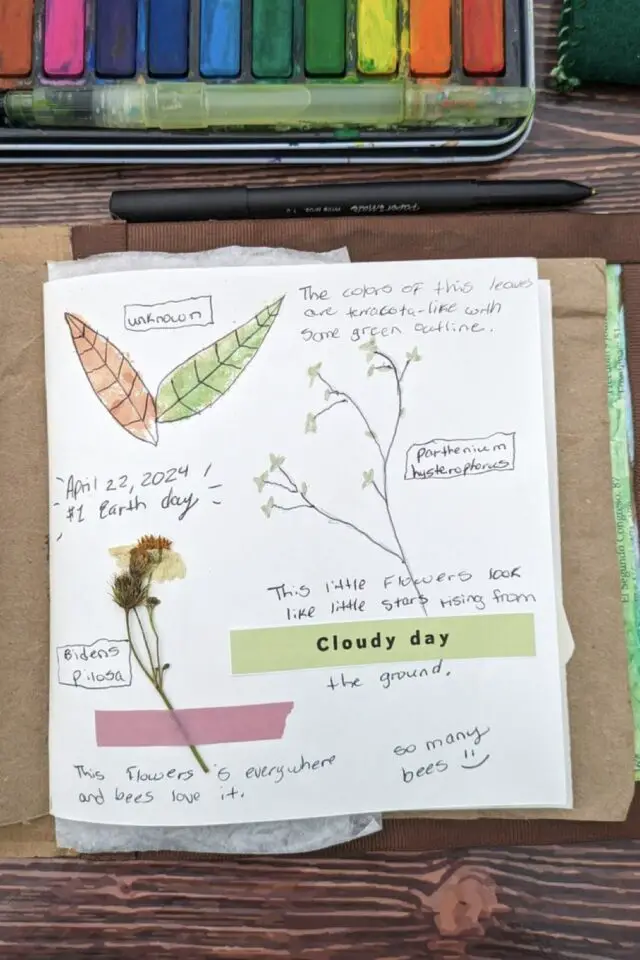 loisir créatif journal nature petit croquis avec quelques notes aquette et fleur cueillie 
