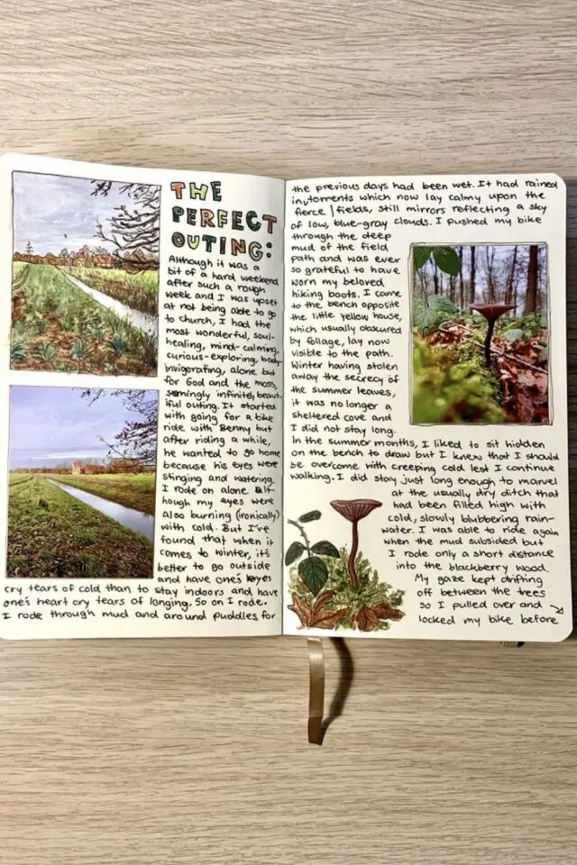 journal nature exemple note remarque observation photos collage facile sans savoir dessiner 