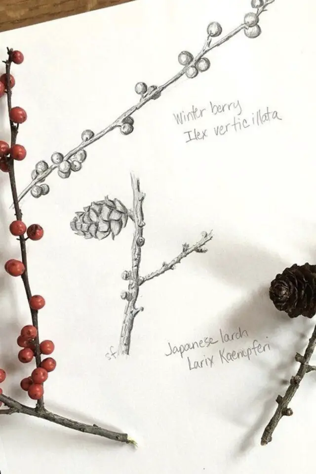 journal nature idée croquis en hiver branche d'arbre dessin minimaliste 