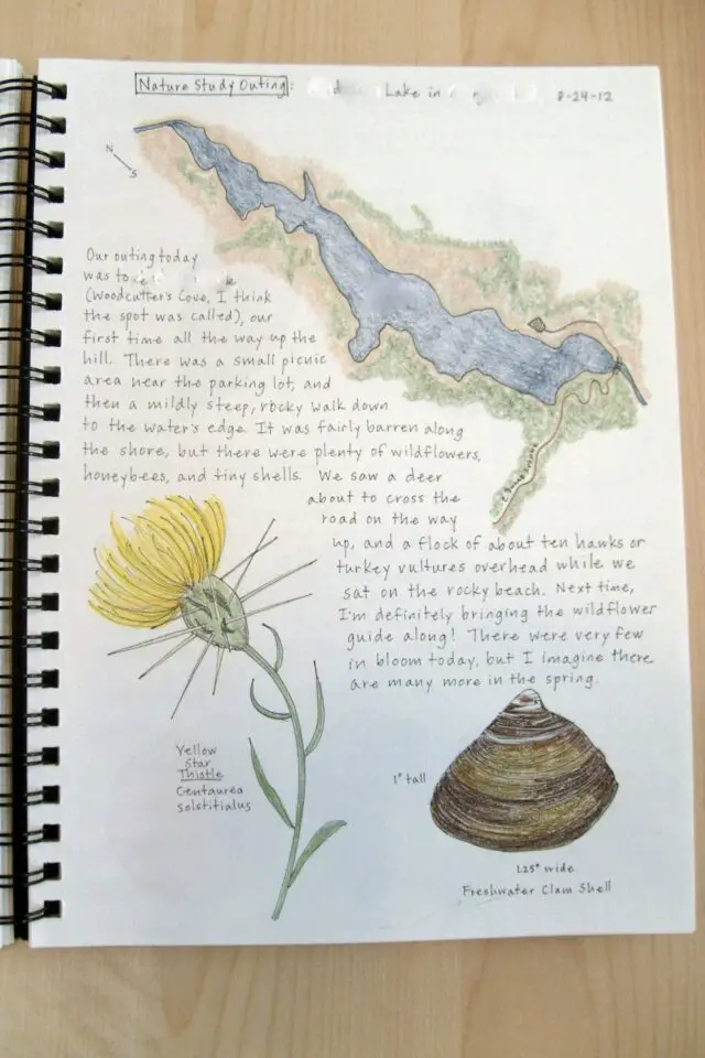 loisir créatif journal nature activité adulte bien-être dessin note promenade 