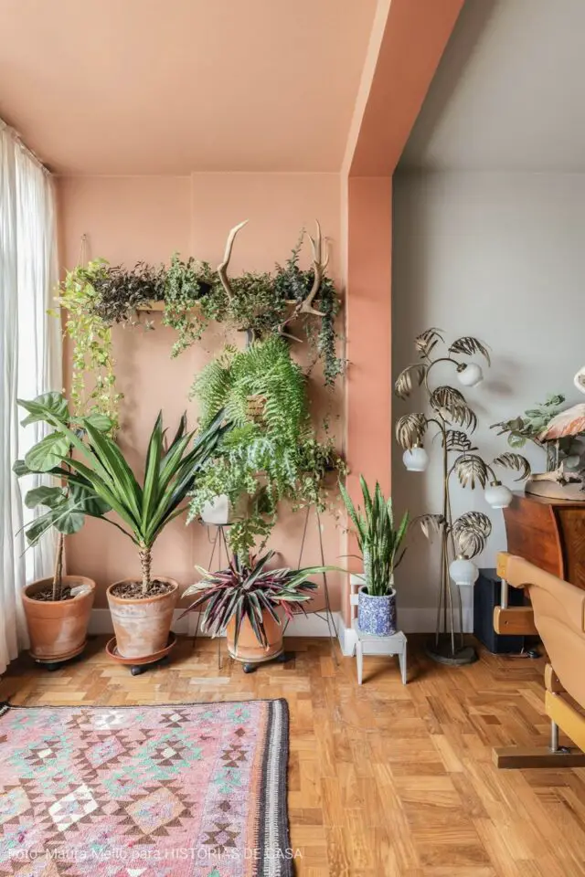 espace loggia ouvert sur le salon peinture pêche terracotta clair avec plantes vertes 