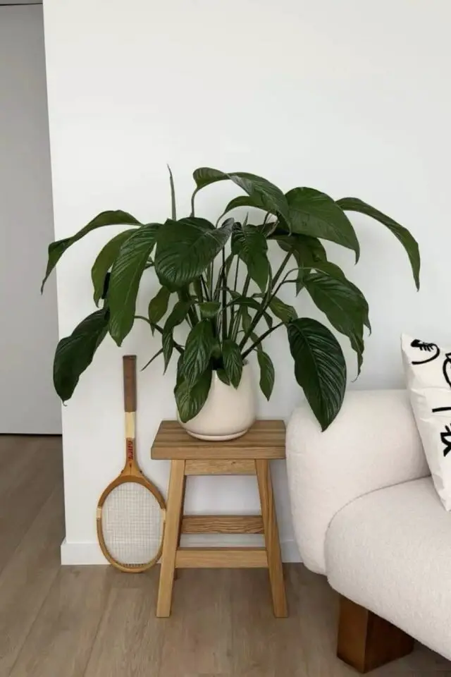 petits gestes déco faciles et rapides à mettre en oeuvre pour se sentir bien chez soi quand on emménage plantes vertes d'intérieur 