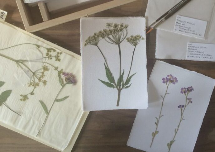 activité manuelle nature DIY herbier idées exemple inspiration et matériel