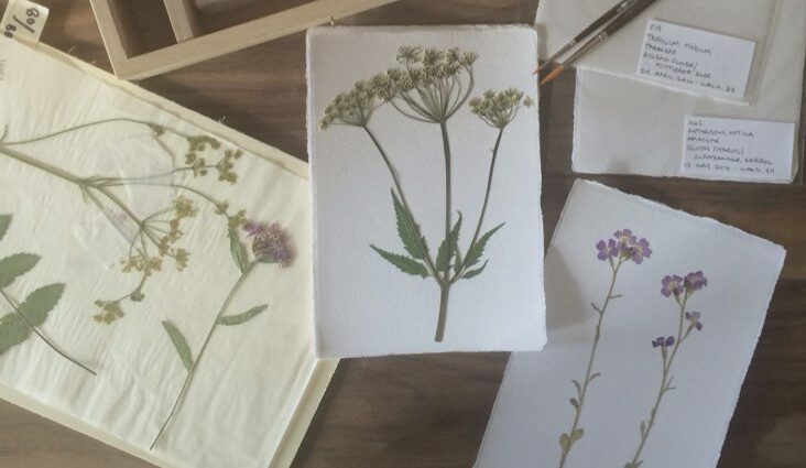 activité manuelle nature DIY herbier idées exemple inspiration et matériel