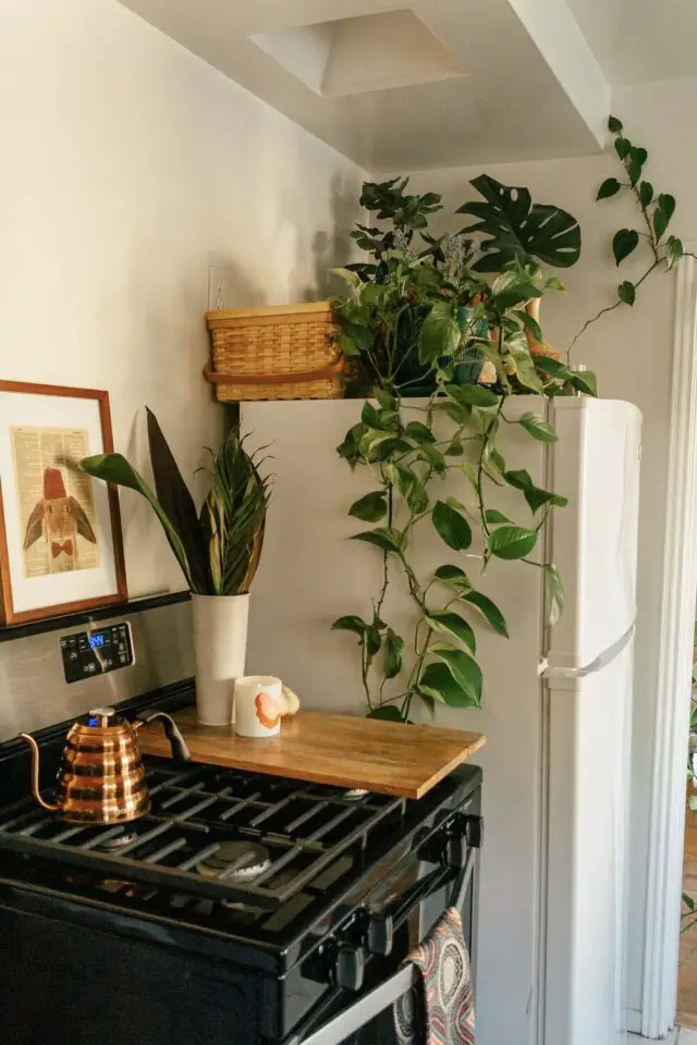 idée facile pour rendre la cuisine plus chaleureuse plante posée au dessus du frigo 