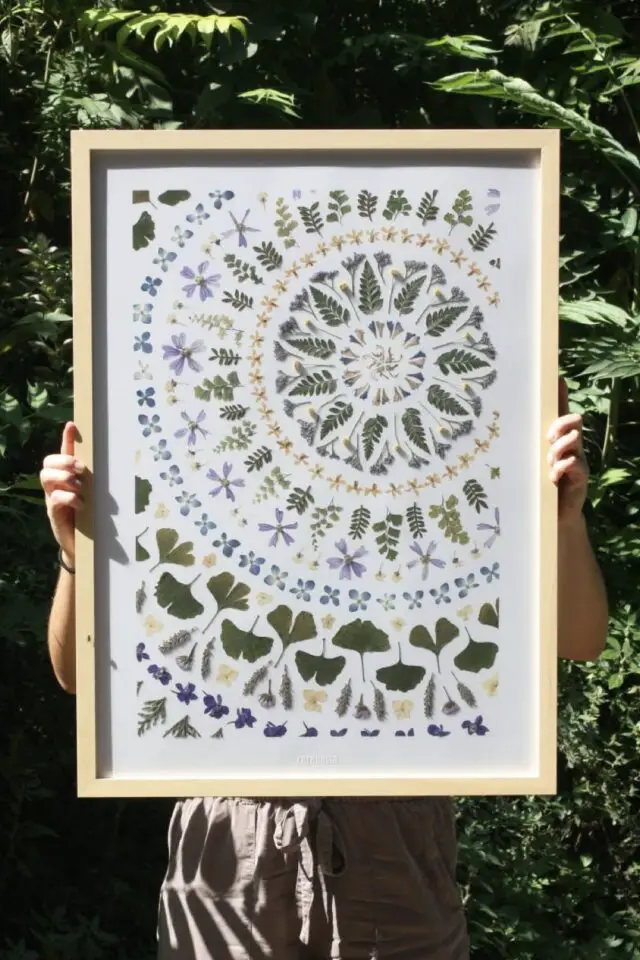 feuilles et fleurs pressées herbier déco encadré esprit mandala idée à copier feuilles et fleurs pressées herbier déco encadré esprit mandala idée à copier