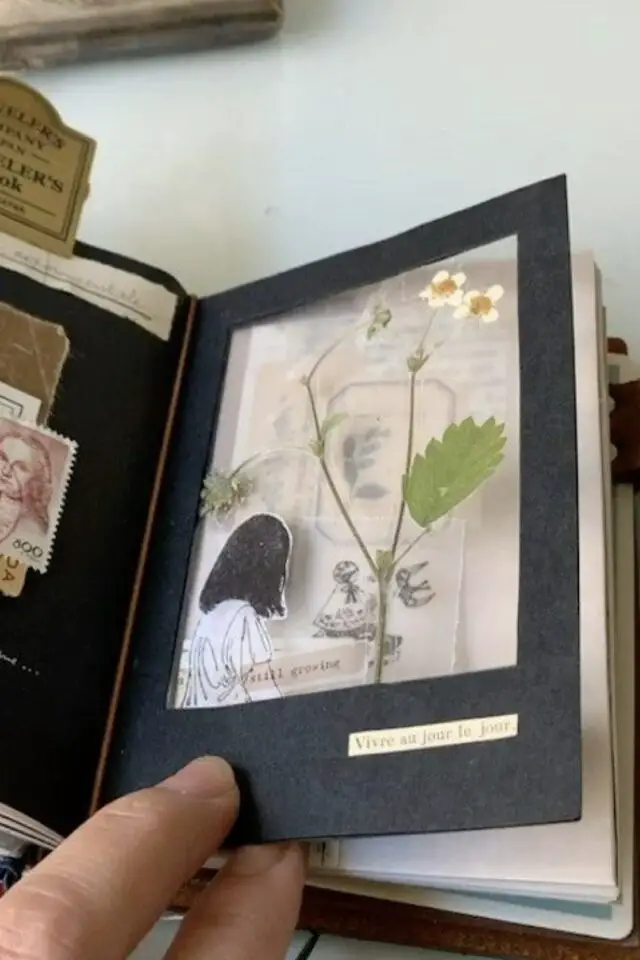 idée carnet journal herbier petite fleur pressée avec tige et feuille entre deux feuilles transparentes inspiration créative idée carnet journal herbier petite fleur pressée avec tige et feuille entre deux feuilles transparentes inspiration créative