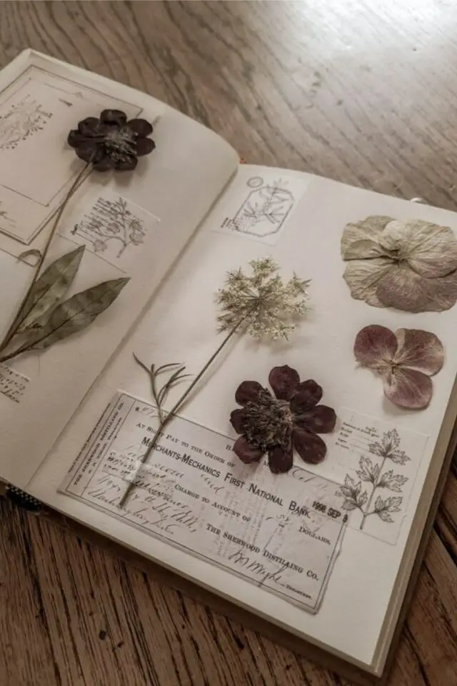 journal herbier idée créative nature à faire soi-même fleurs séchées et pressées journal herbier idée créative nature à faire soi-même fleurs séchées et pressées