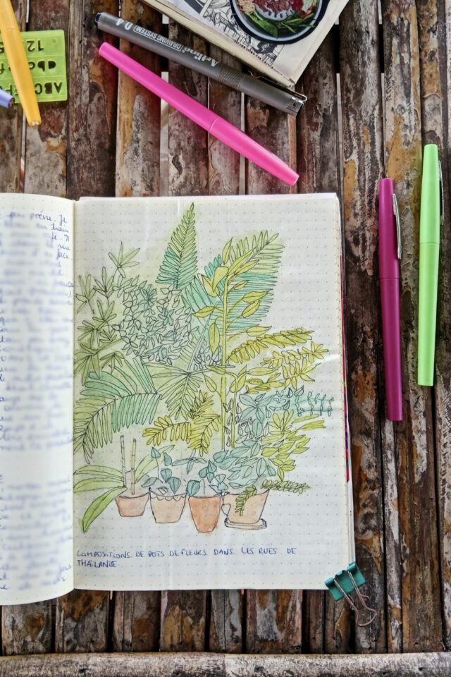 souvenir de voyage carnet dessin aquarelle Thaïlande plantes locales tropicales en pot dans la rue souvenir de voyage carnet dessin aquarelle Thaïlande plantes locales tropicales en pot dans la rue