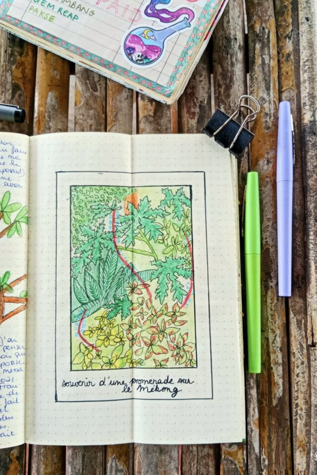 dessin plantes tropicales jungle carnet de voyage promenade Luang Prabang Laos dessin plantes tropicales jungle carnet de voyage promenade Luang Prabang Laos