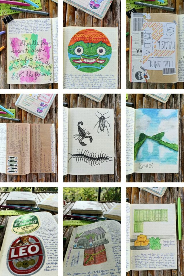 plusieurs page journal de voyage illustration Asie collage étiquettes de bière dessin au feutre insectes plusieurs page journal de voyage illustration Asie collage étiquettes de bière dessin au feutre insectes