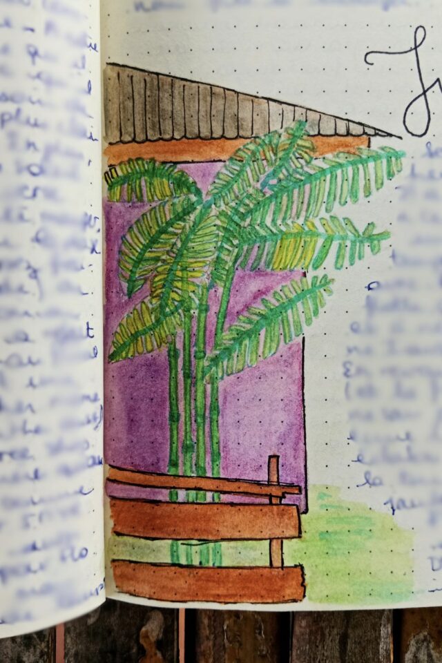 petit dessin carnet de voyage n°2 bungalow Malaisie Langkawi plantes tropicales petit dessin carnet de voyage n°2 bungalow Malaisie Langkawi plantes tropicales