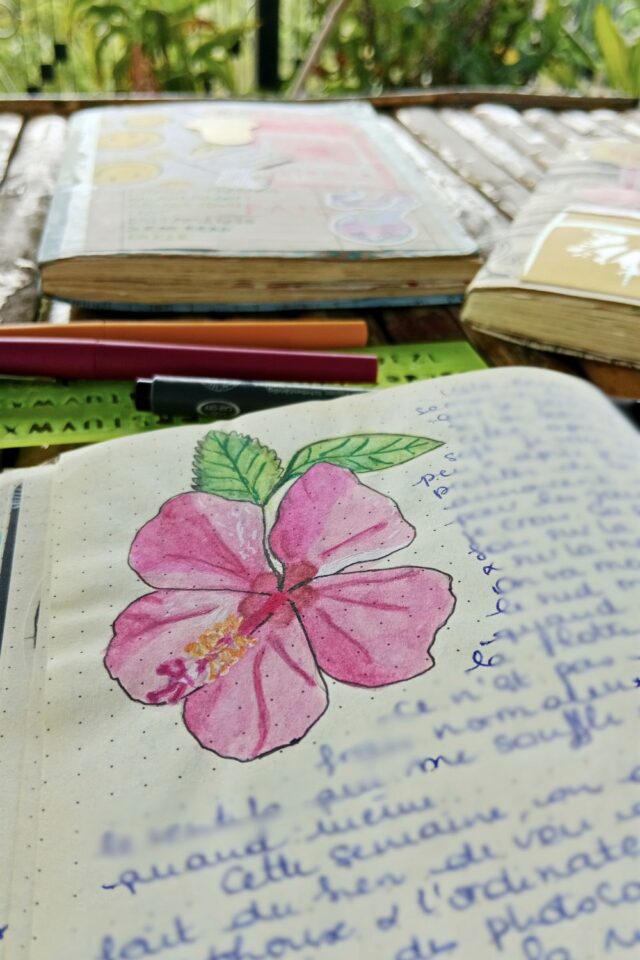 dessin fleur tropicale carnet de voyage illustration faite à la main hibiscus rose dessin fleur tropicale carnet de voyage illustration faite à la main hibiscus rose