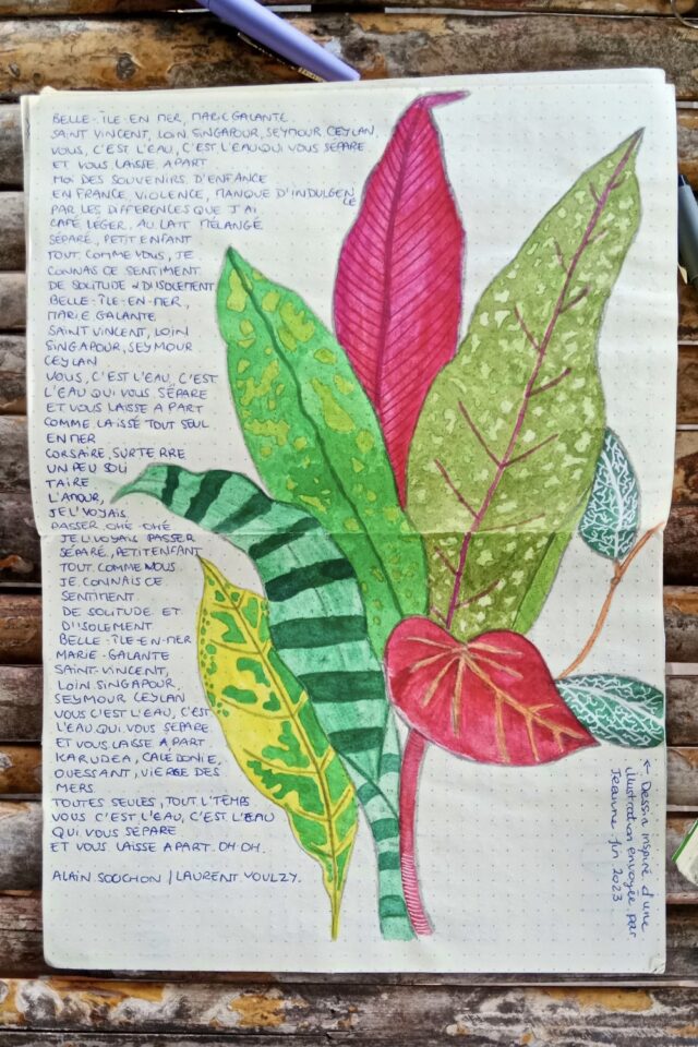 illustration journal de viyage n°2 parole de chanson dessin feuillage tropical coloré illustration journal de viyage n°2 parole de chanson dessin feuillage tropical coloré