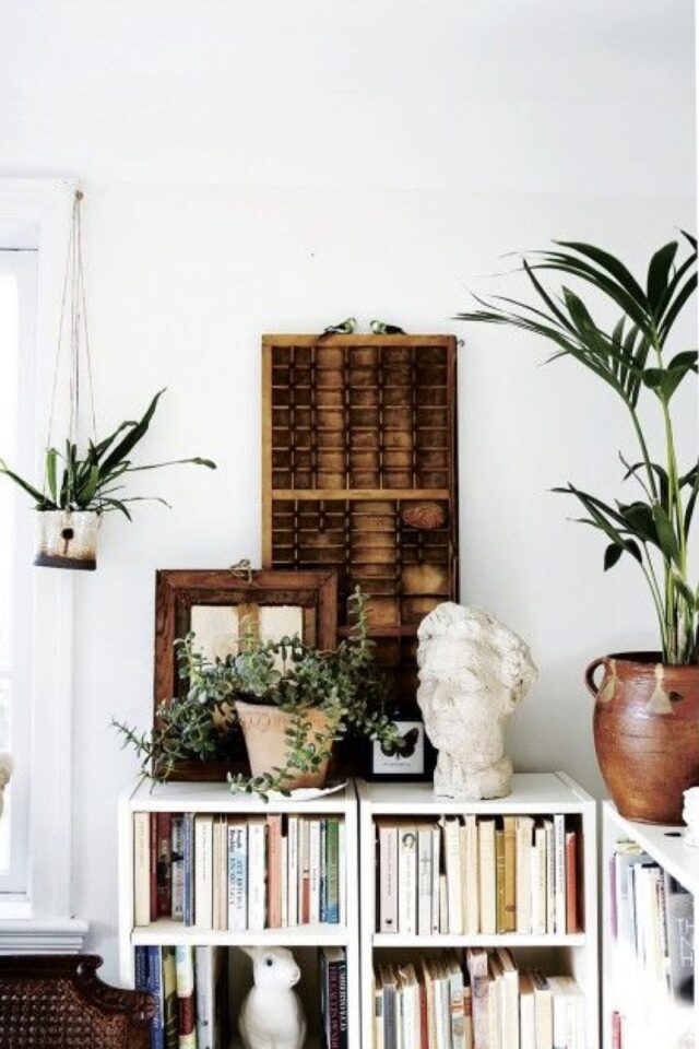 décoration éclectique pas tendance salon mini bibliothèque blanche buste ancien casier d'imprimerie en bois plante verte décoration éclectique pas tendance salon mini bibliothèque blanche buste ancien casier d'imprimerie en bois plante verte