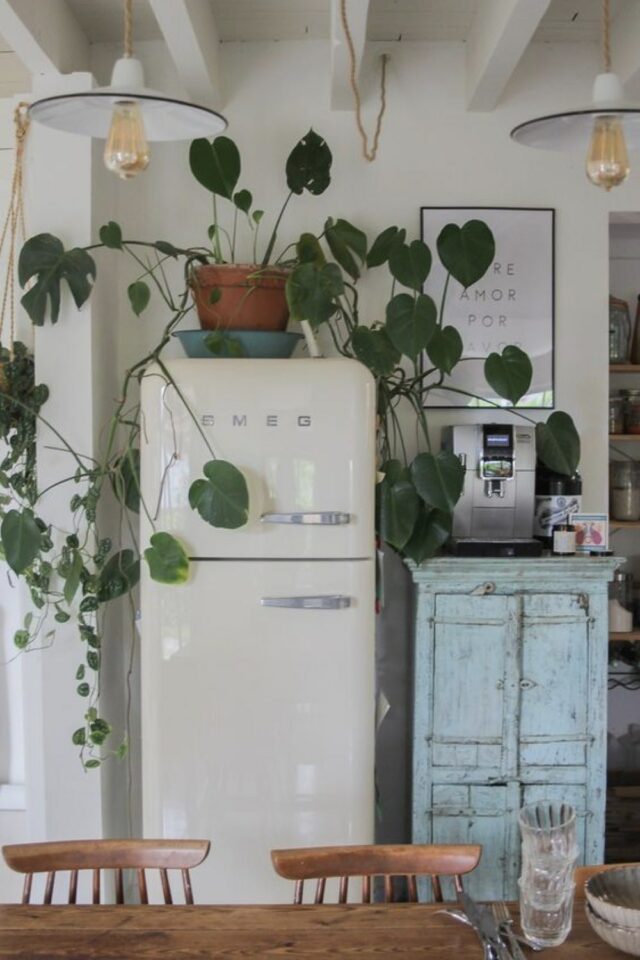 décoration dessus frigo plantes vertes meuble vintage patiné déco cuisine décoration dessus frigo plantes vertes meuble vintage patiné déco cuisine
